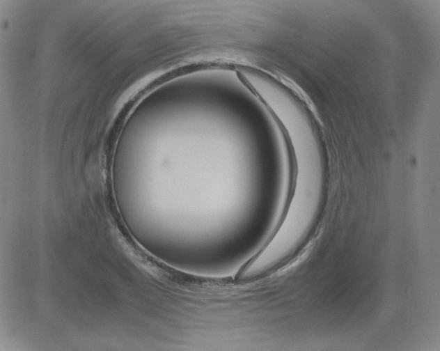 X0000081490981200702021918