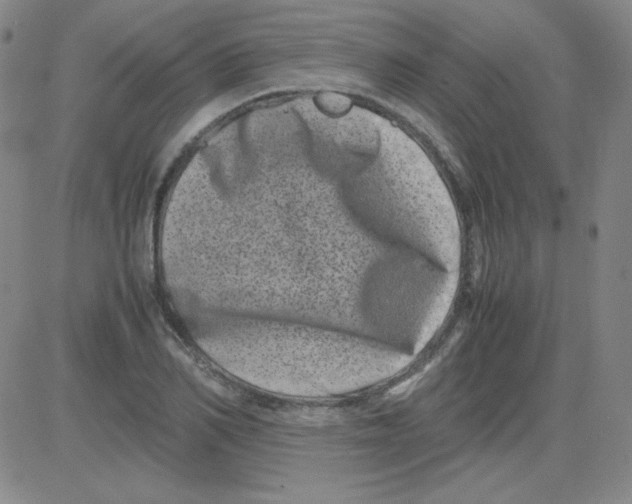 X0000081490982200702021918