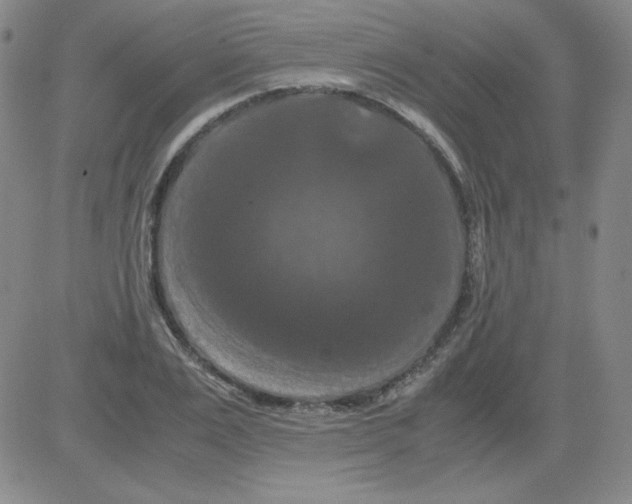 X0000081490983200702021918