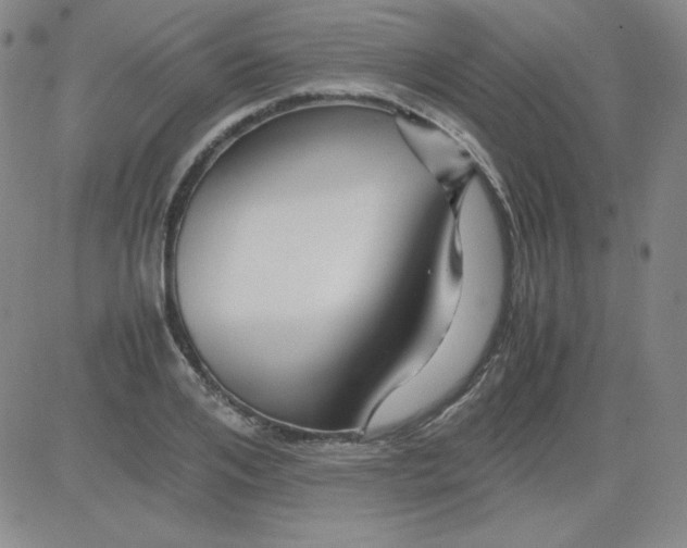 X0000081490984200702021918