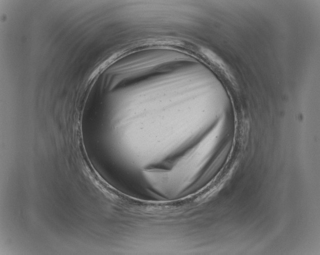 X0000081490985200702021918