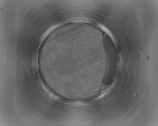 X0000081490986200702021918