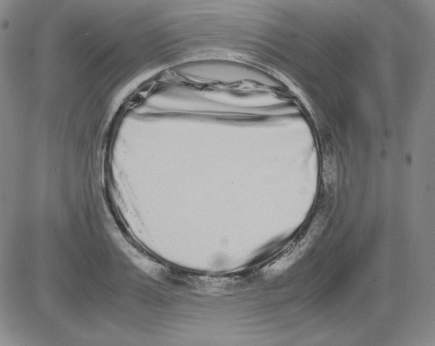 X0000081490987200702021918