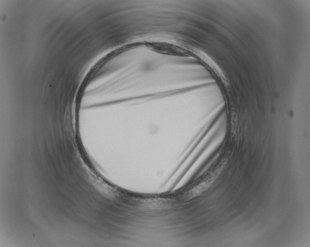 X0000081490988200702021918