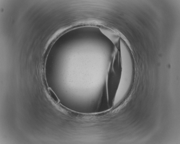 X0000081490989200702021918