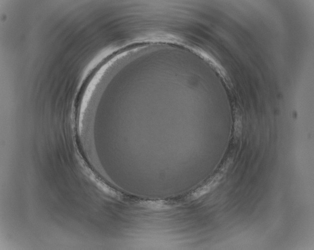 X0000081490990200702021918