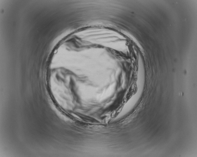 X0000081490991200702021918