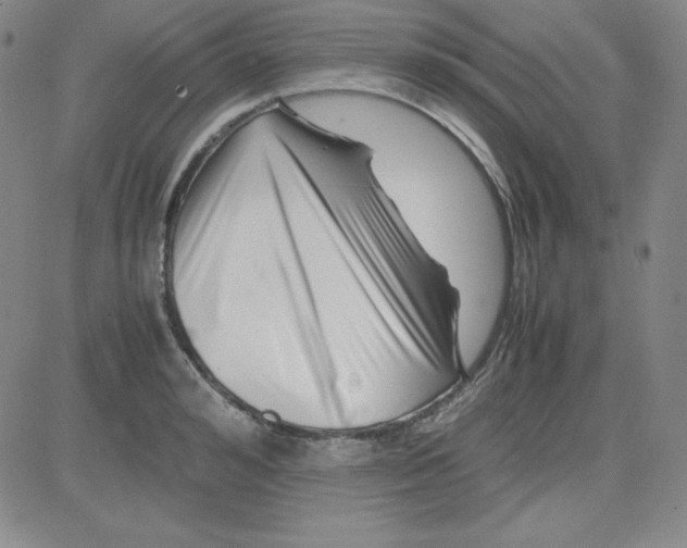 X0000081490992200702021918