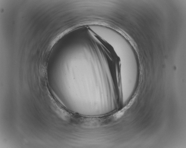 X0000081490993200702021918