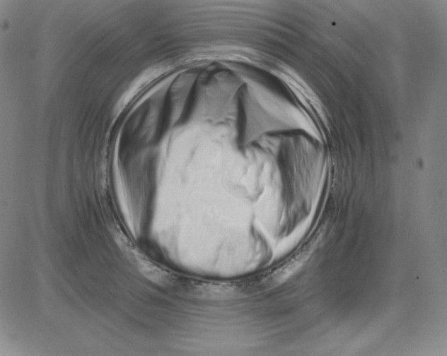 X0000081490994200702021918