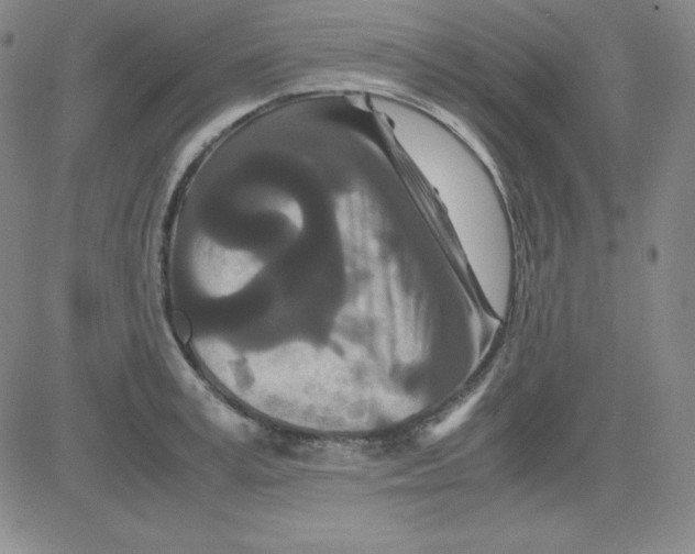 X0000081490995200702021918