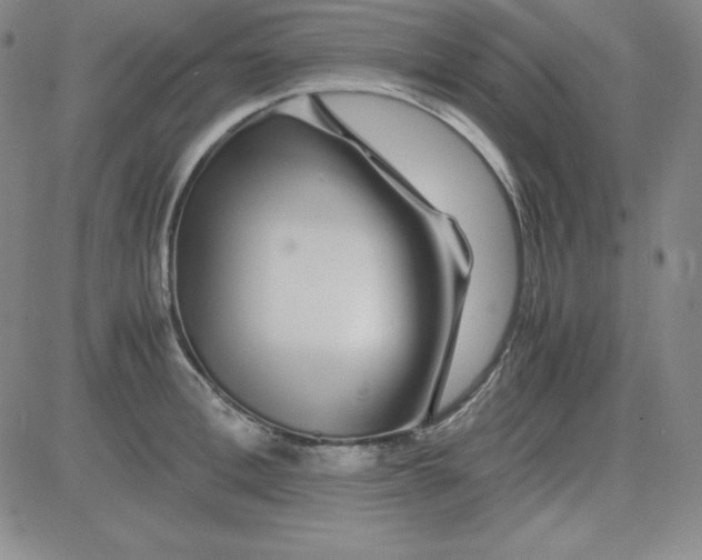 X0000081490996200702021918