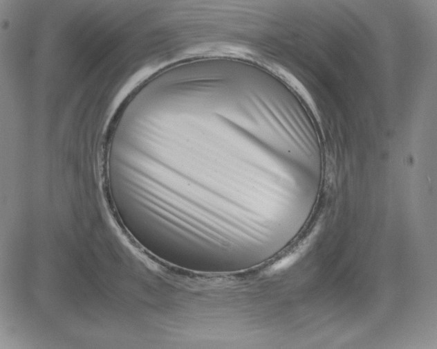 X0000081490997200702021918