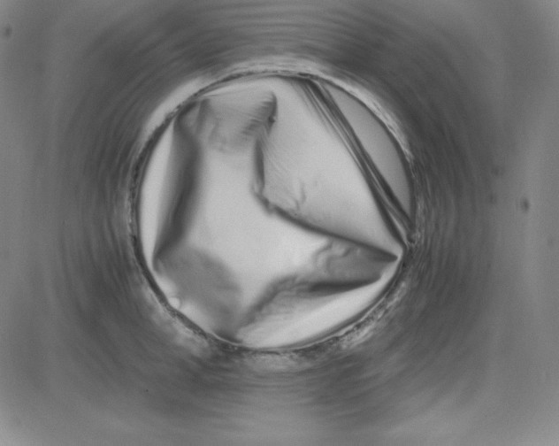 X0000081490998200702021918