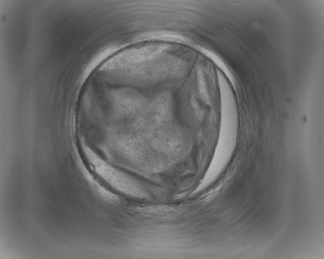 X0000081490999200702021918