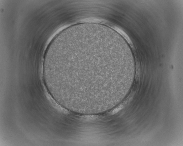 X0000081491000200702021918