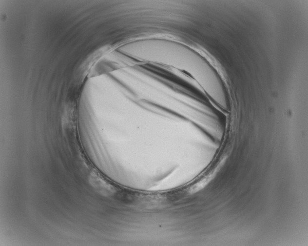 X0000081491001200702021918