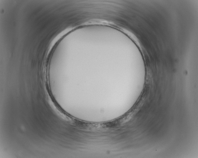 X0000081491003200702021918