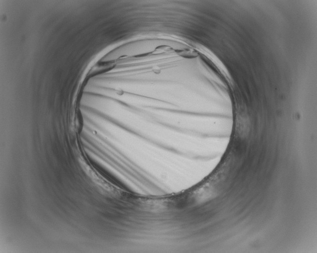 X0000081491004200702021918