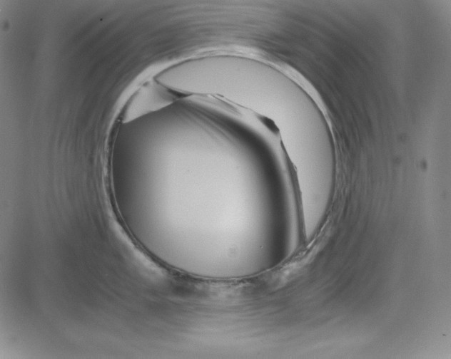 X0000081491005200702021918