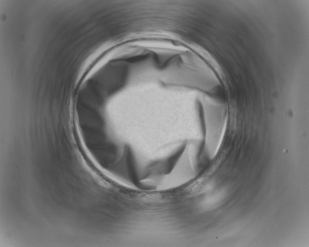 X0000081491006200702021918