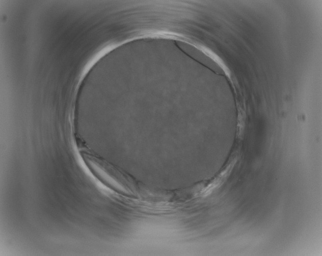 X0000081491007200702021918