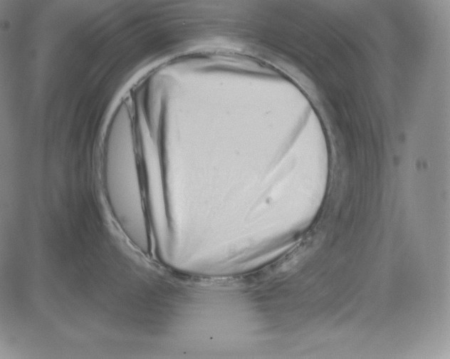 X0000081491008200702021918