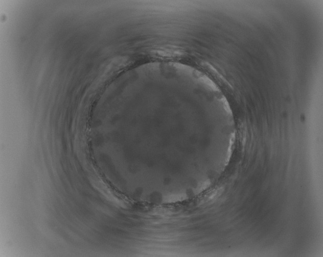 X0000081491009200702021917