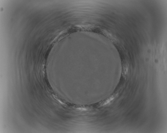 X0000081491010200702021917