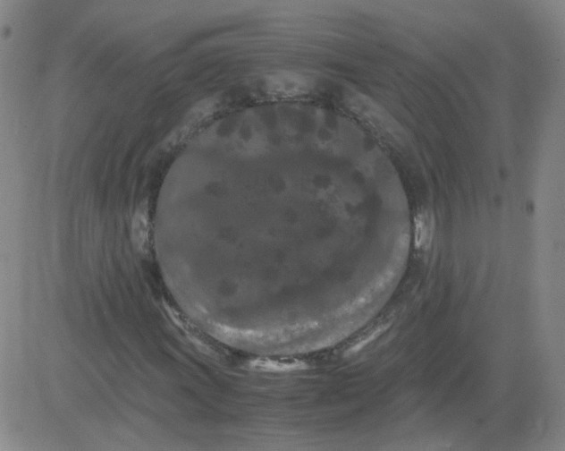 X0000081491011200702021917