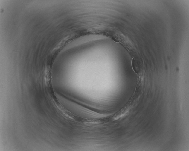 X0000081491012200702021917