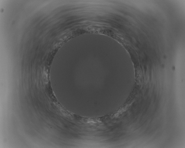 X0000081491013200702021917