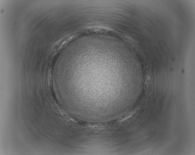 X0000081491014200702021917