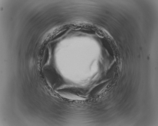 X0000081491016200702021917