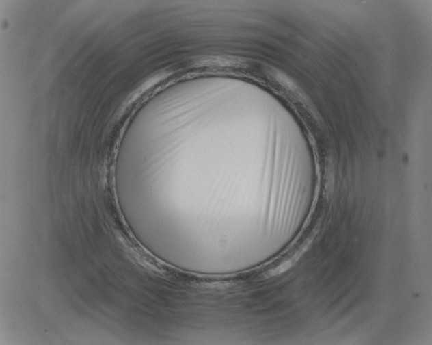 X0000081491017200702021917