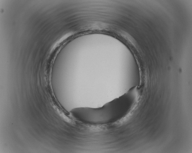 X0000081491018200702021917