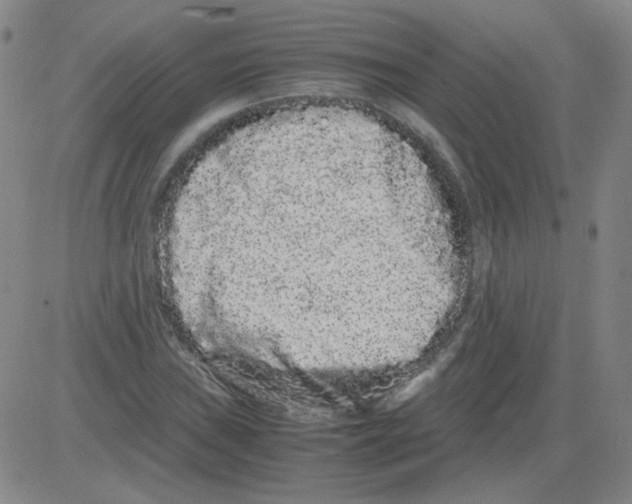 X0000081491019200702021917