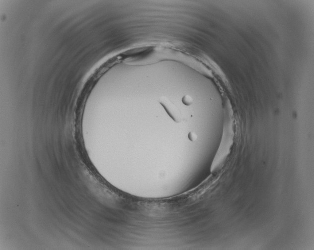 X0000081491020200702021917