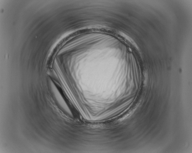 X0000081491021200702021917