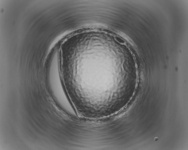 X0000081491022200702021917