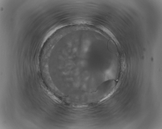 X0000081491023200702021917