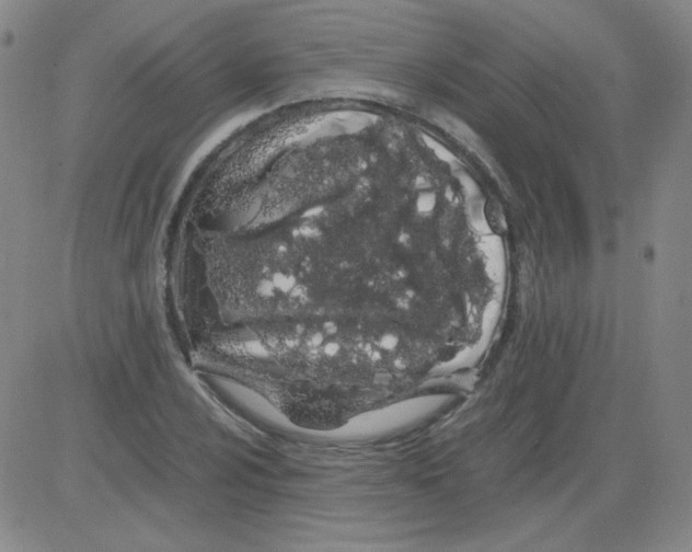 X0000081491024200702021917