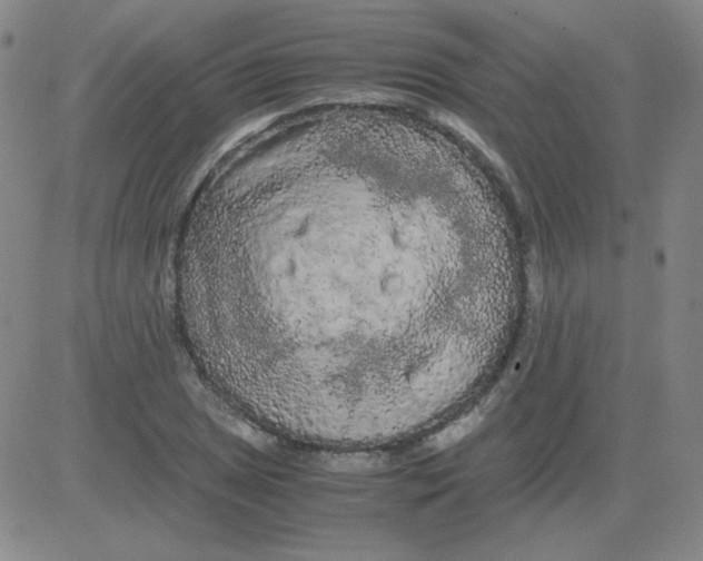 X0000081491025200702021917