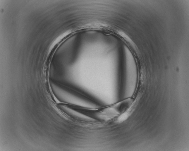 X0000081491026200702021917