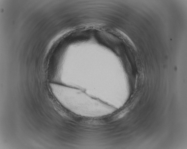 X0000081491027200702021917