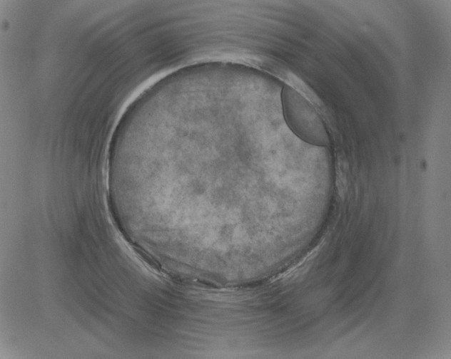 X0000081491028200702021917