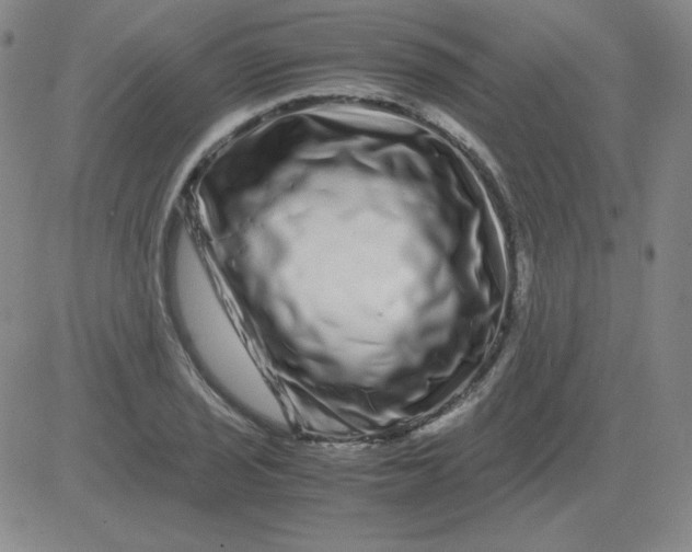 X0000081491029200702021917