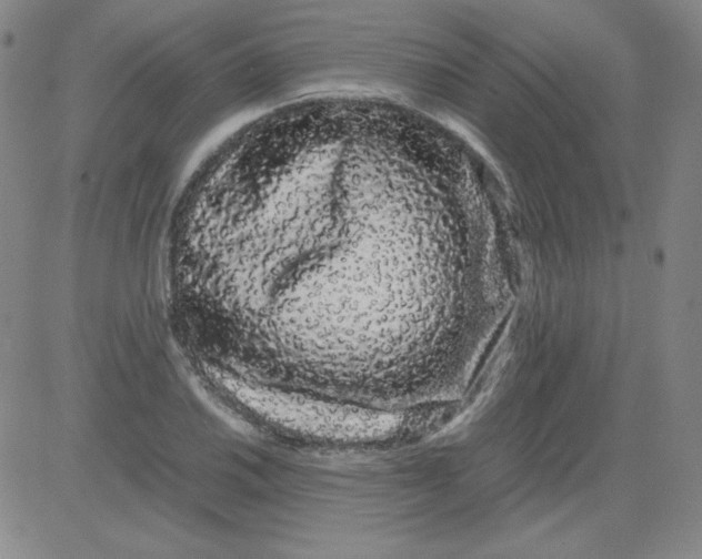 X0000081491030200702021917