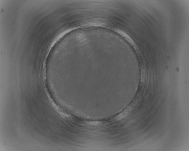 X0000081491031200702021917