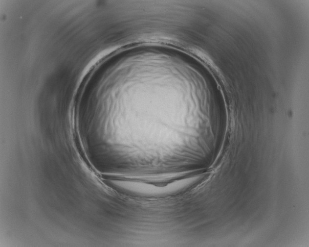 X0000081491032200702021917